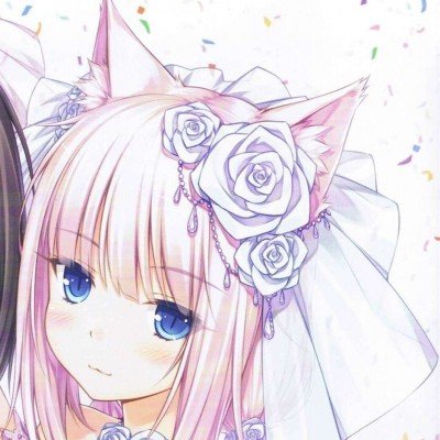 90后寻宠师2年狂赚近百万